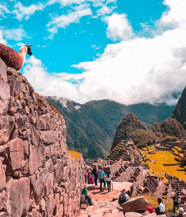 Machu Picchu